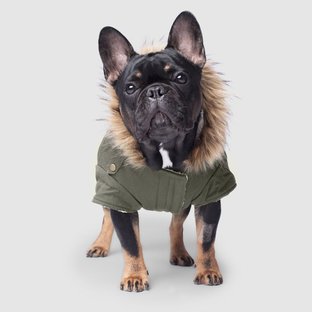 Alaskan Army Parka by Canada Pooch | Canadapoud 9C19 Xo