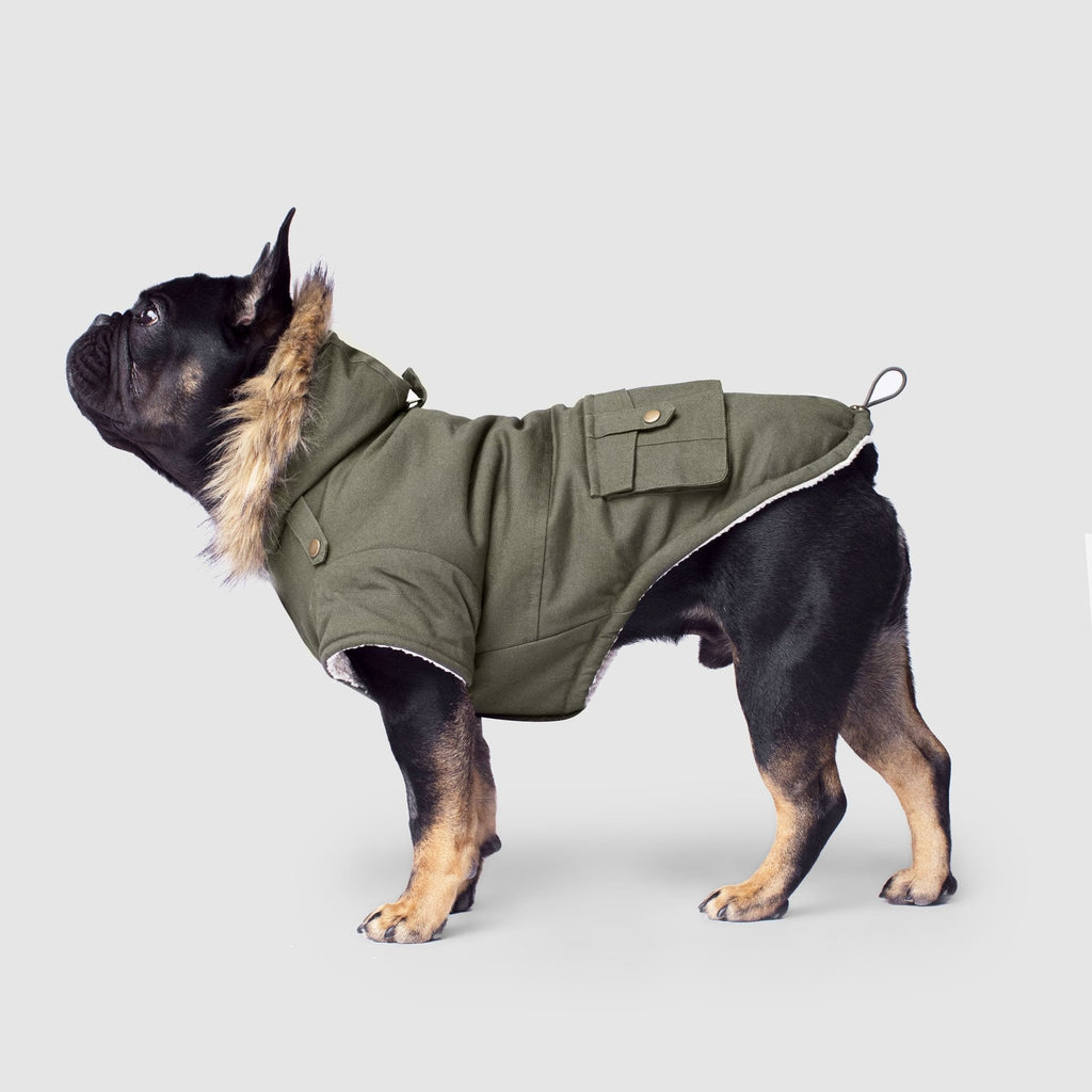 Alaskan Army Parka by Canada Pooch | Canadapoud 9C19 Xo