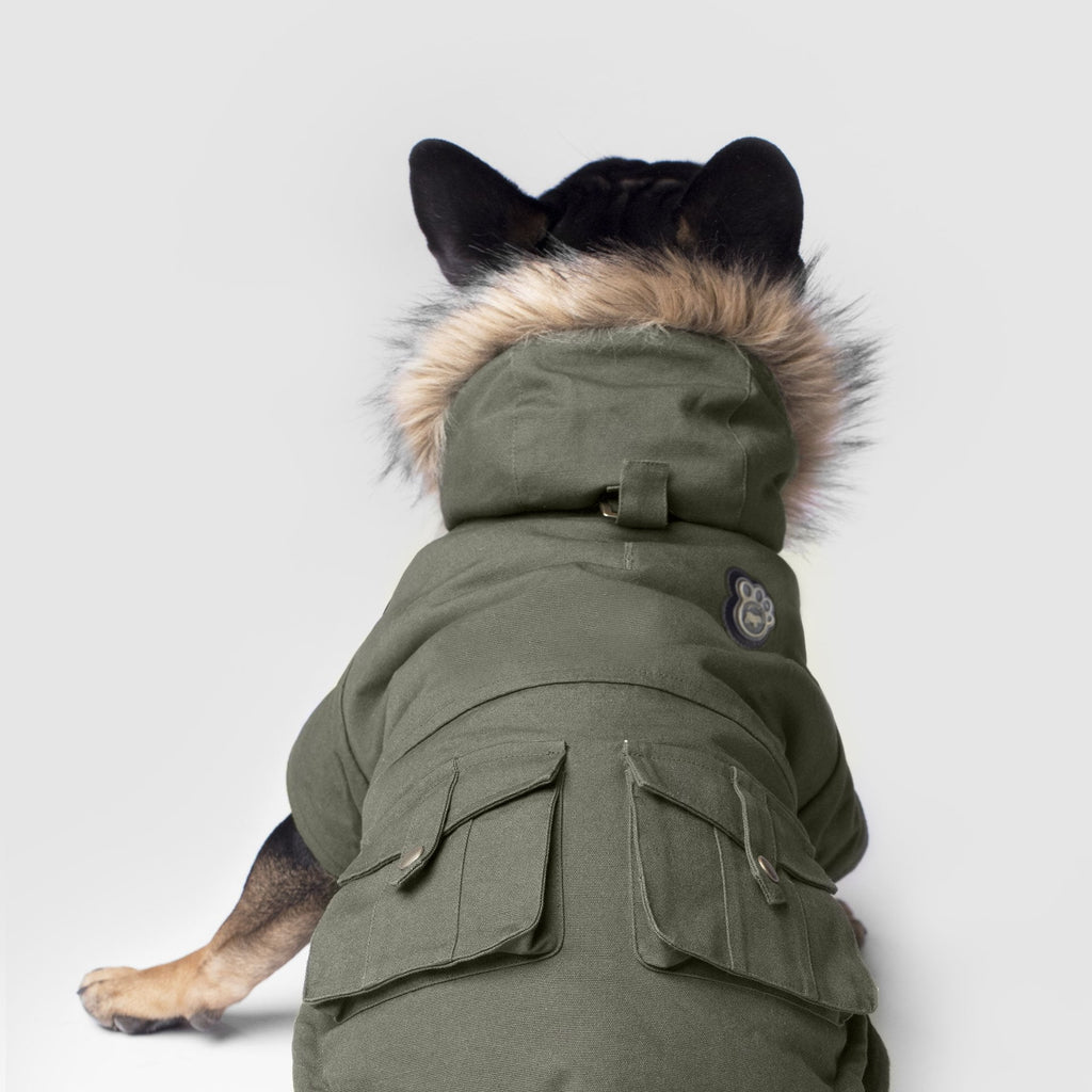 Alaskan Army Parka by Canada Pooch | Canadapoud 9C19 Xo