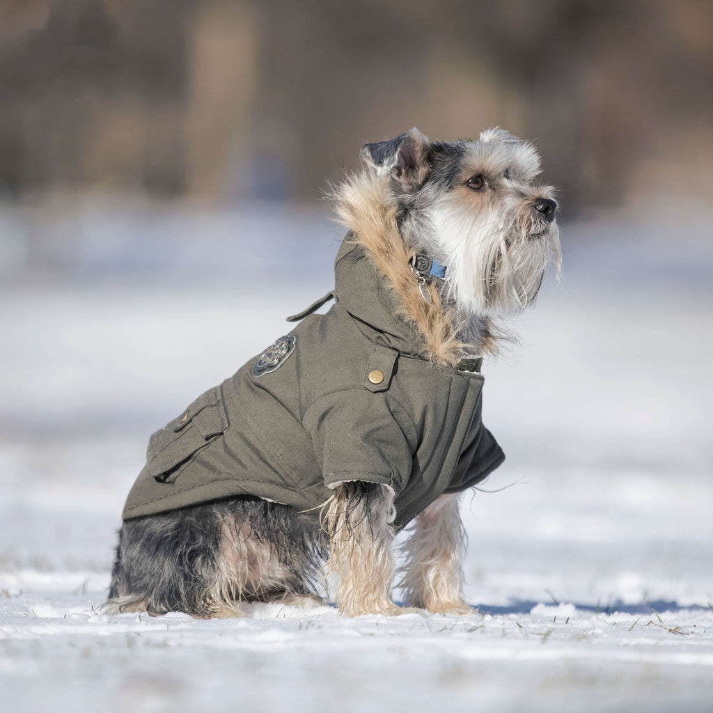 Alaskan Army Parka by Canada Pooch | Canadapoud 9C19 Xo