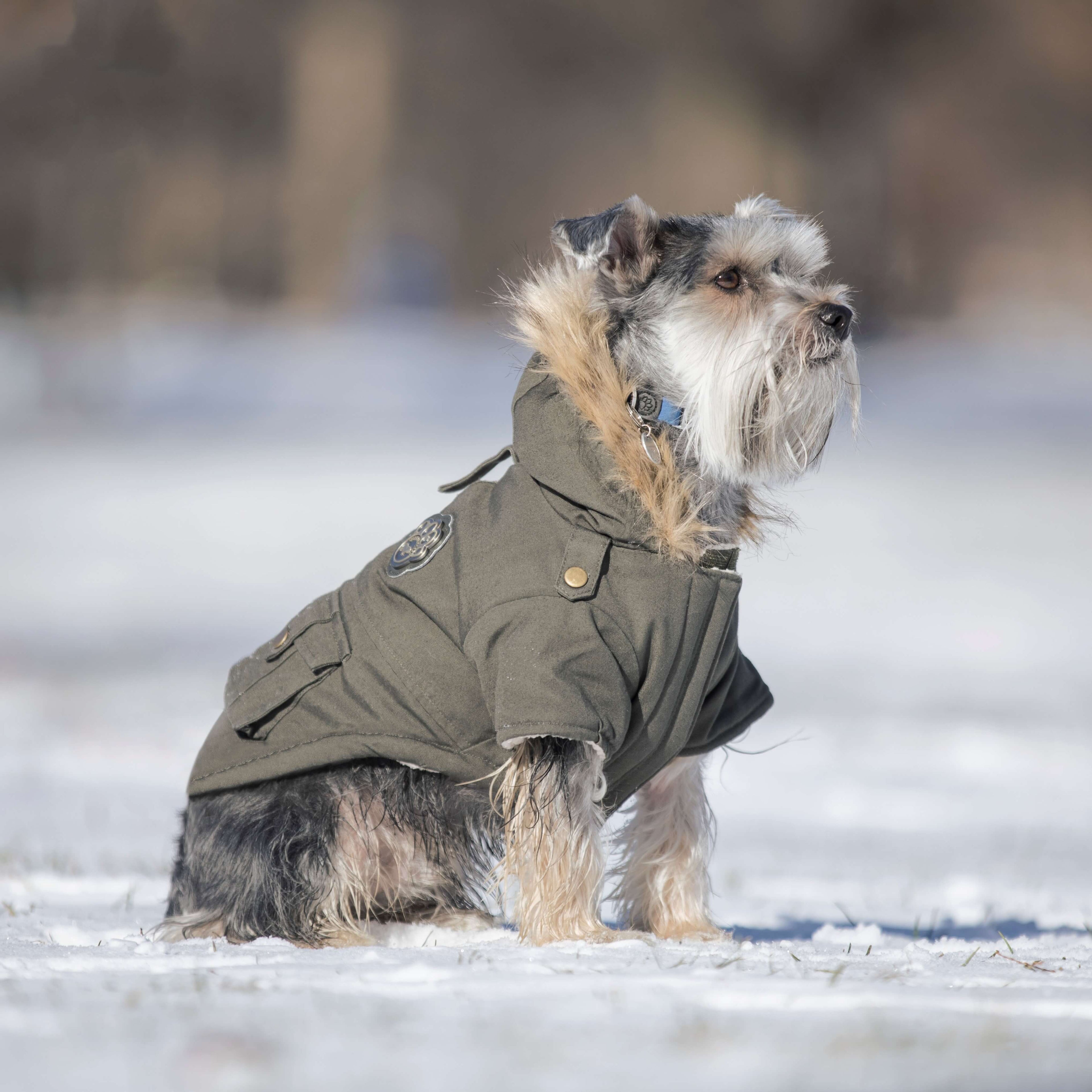 Alaskan Army Parka by Canada Pooch | Canadapoud 9C19 Xo