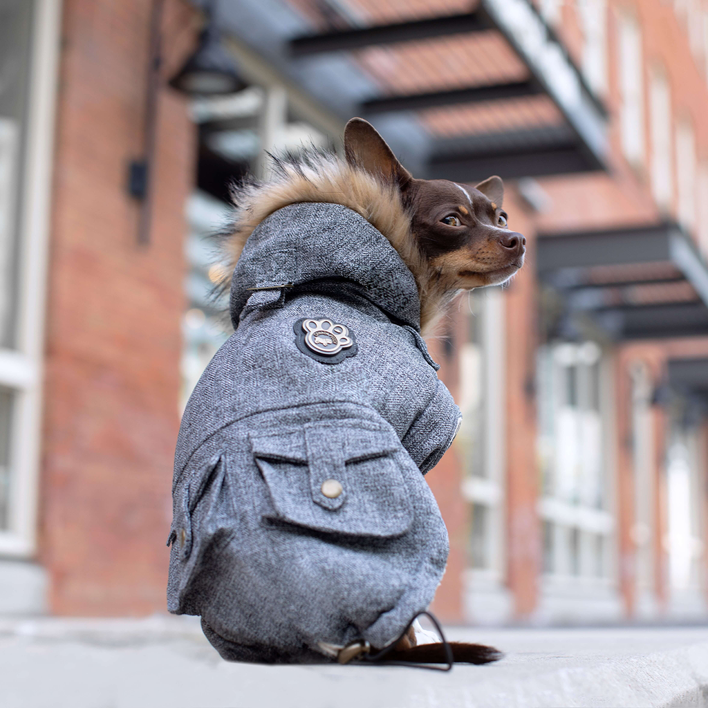 Alaskan Army Parka by Canada Pooch | Canadapoud 9C19 Xo