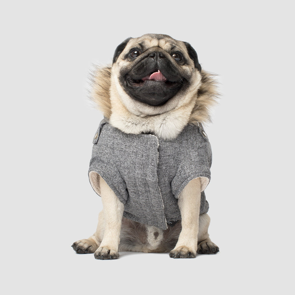 Alaskan Army Parka by Canada Pooch | Canadapoud 9C19 Xo