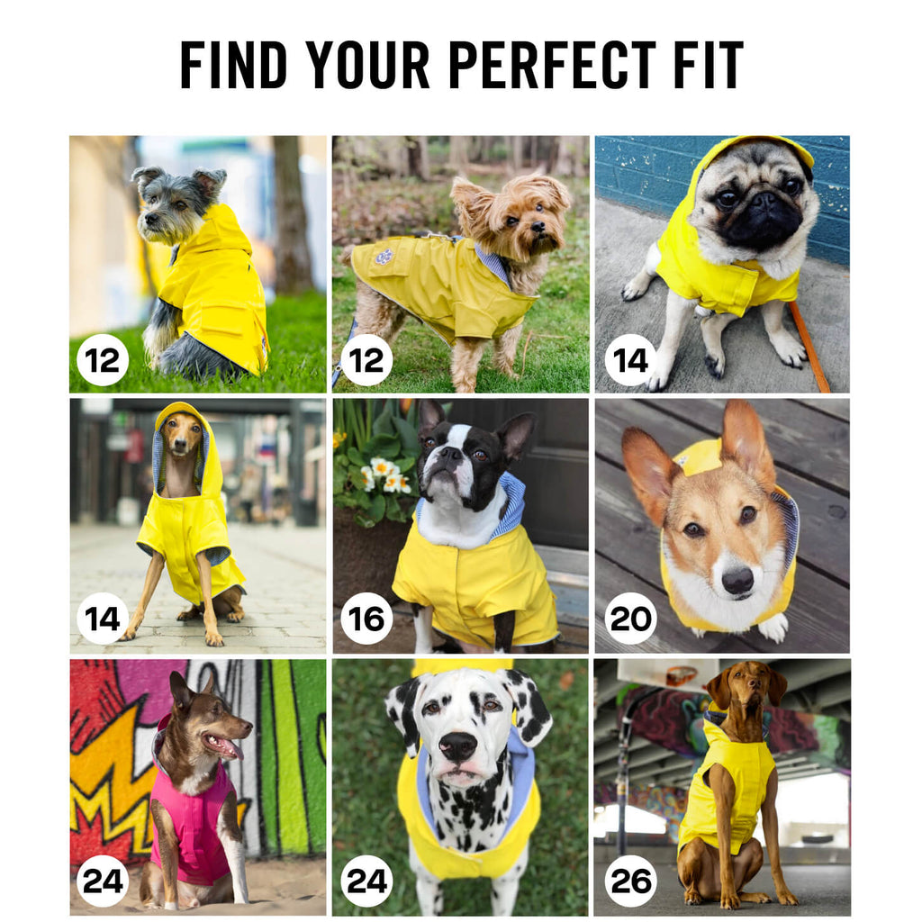 Torrential Tracker by Canada Pooch | Canadapoud 2393