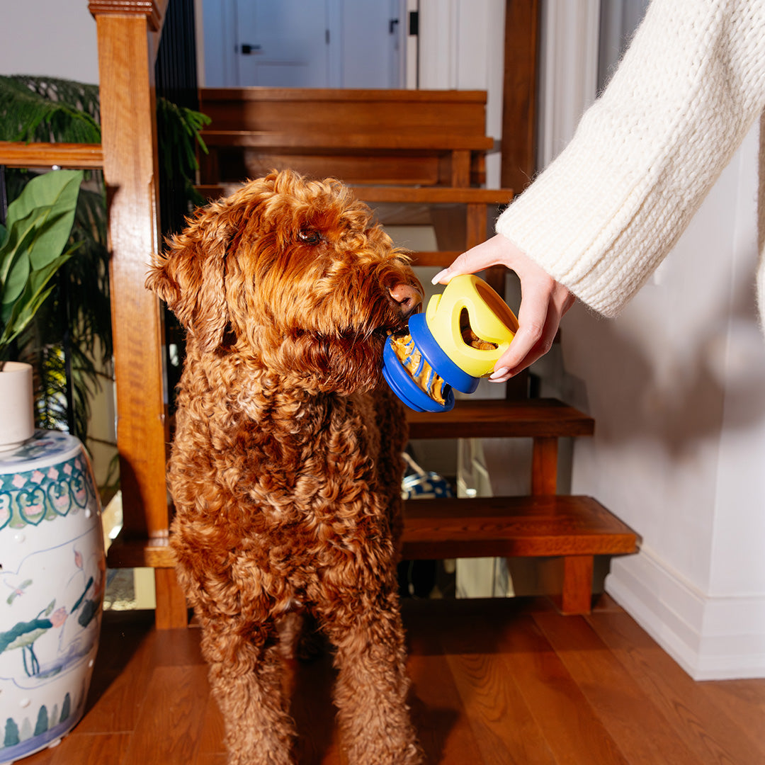 The Starter Stack by Canada Pooch | Canadapoud D845