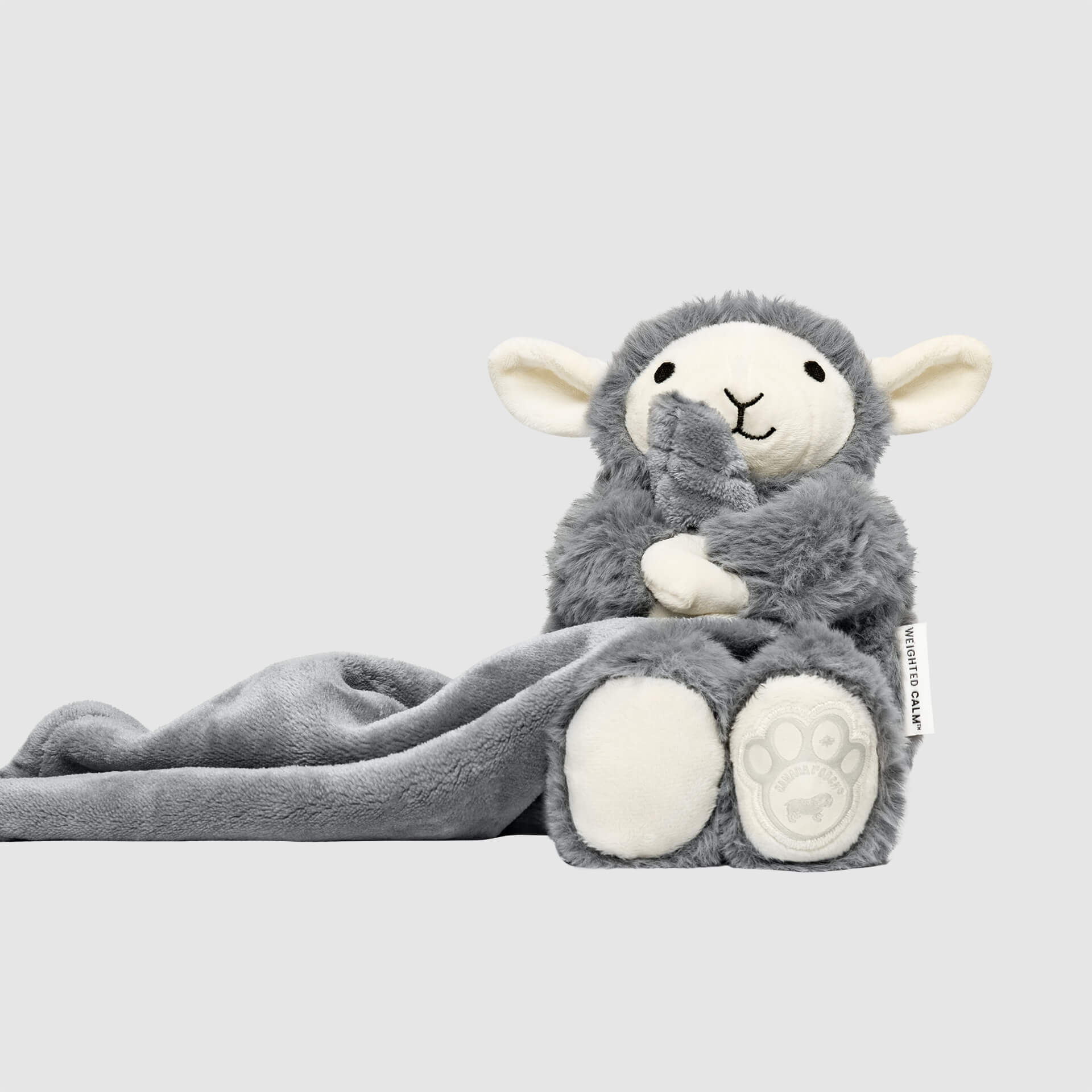 Weighted Calming Toy by Canada Pooch | Canadapoud 7973