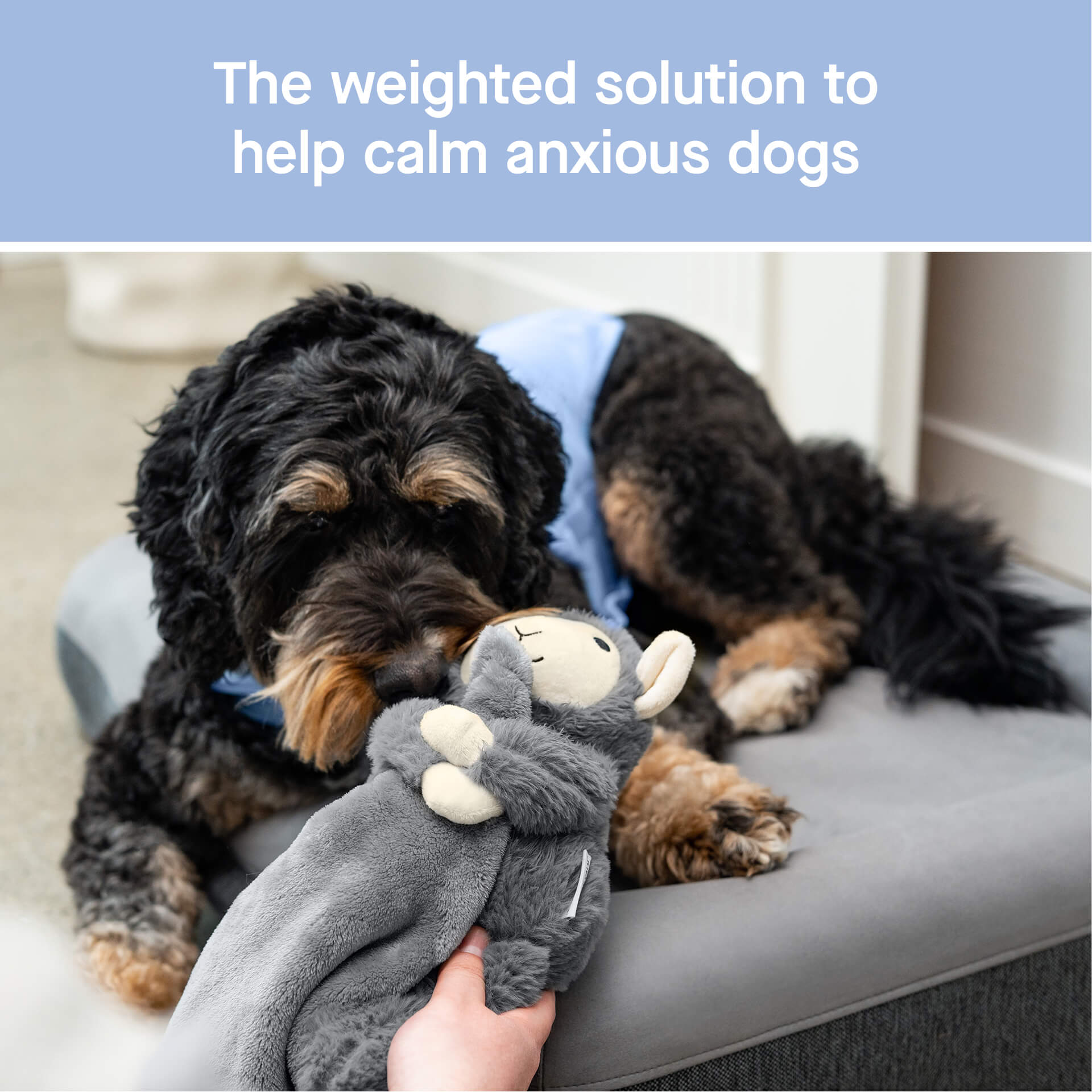 Weighted Calming Toy by Canada Pooch | Canadapoud 7973