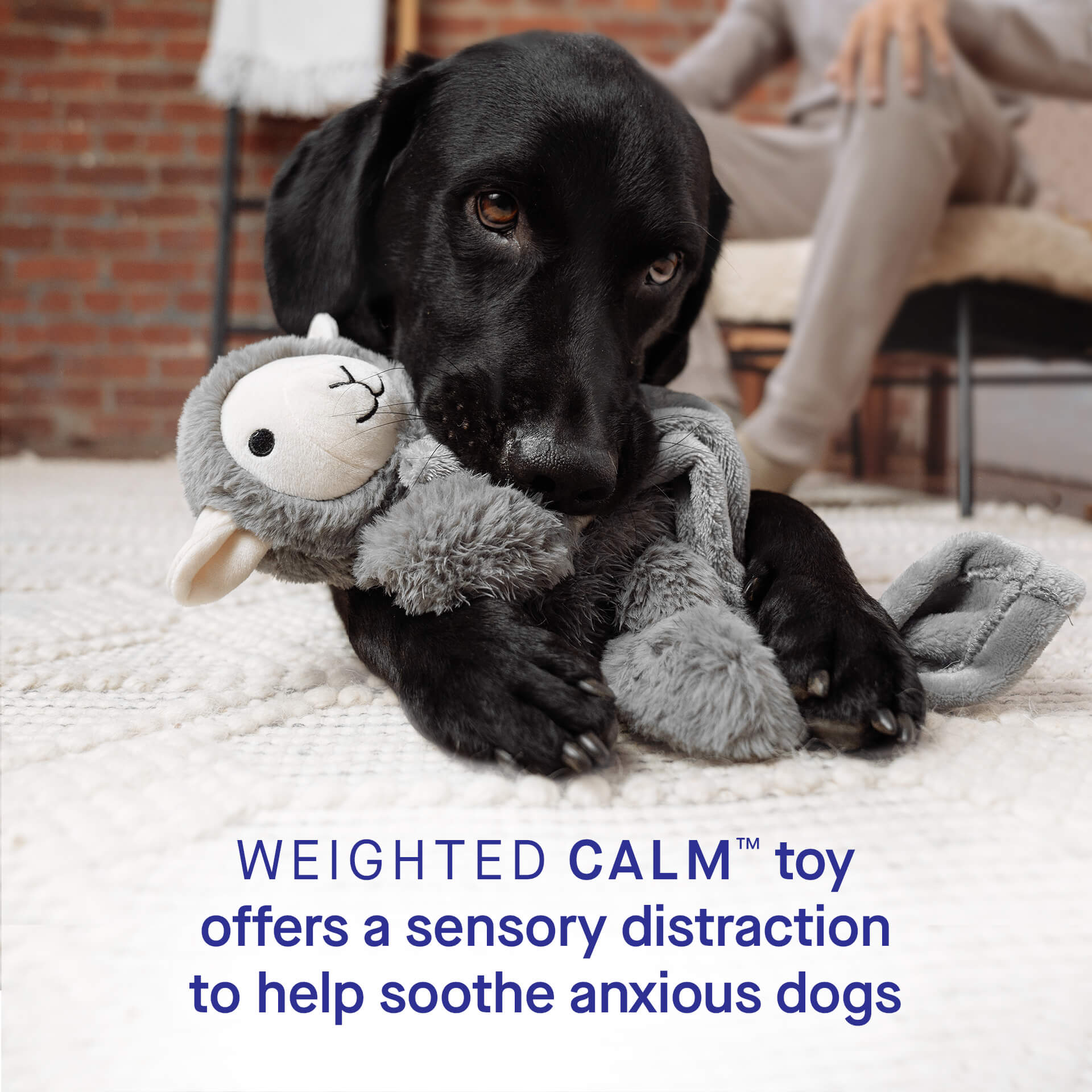 Weighted Calming Toy by Canada Pooch | Canadapoud 7973