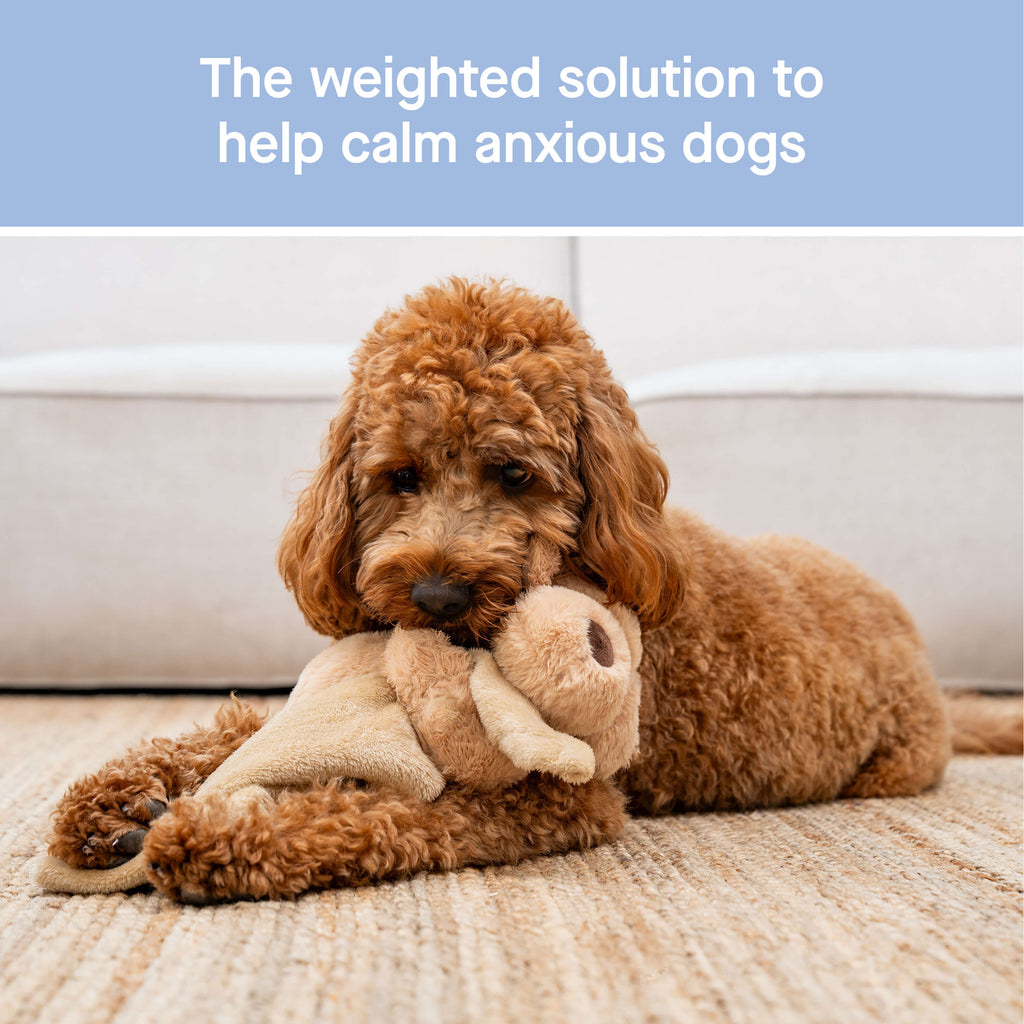 Weighted Calming Toy by Canada Pooch | Canadapoud 7973