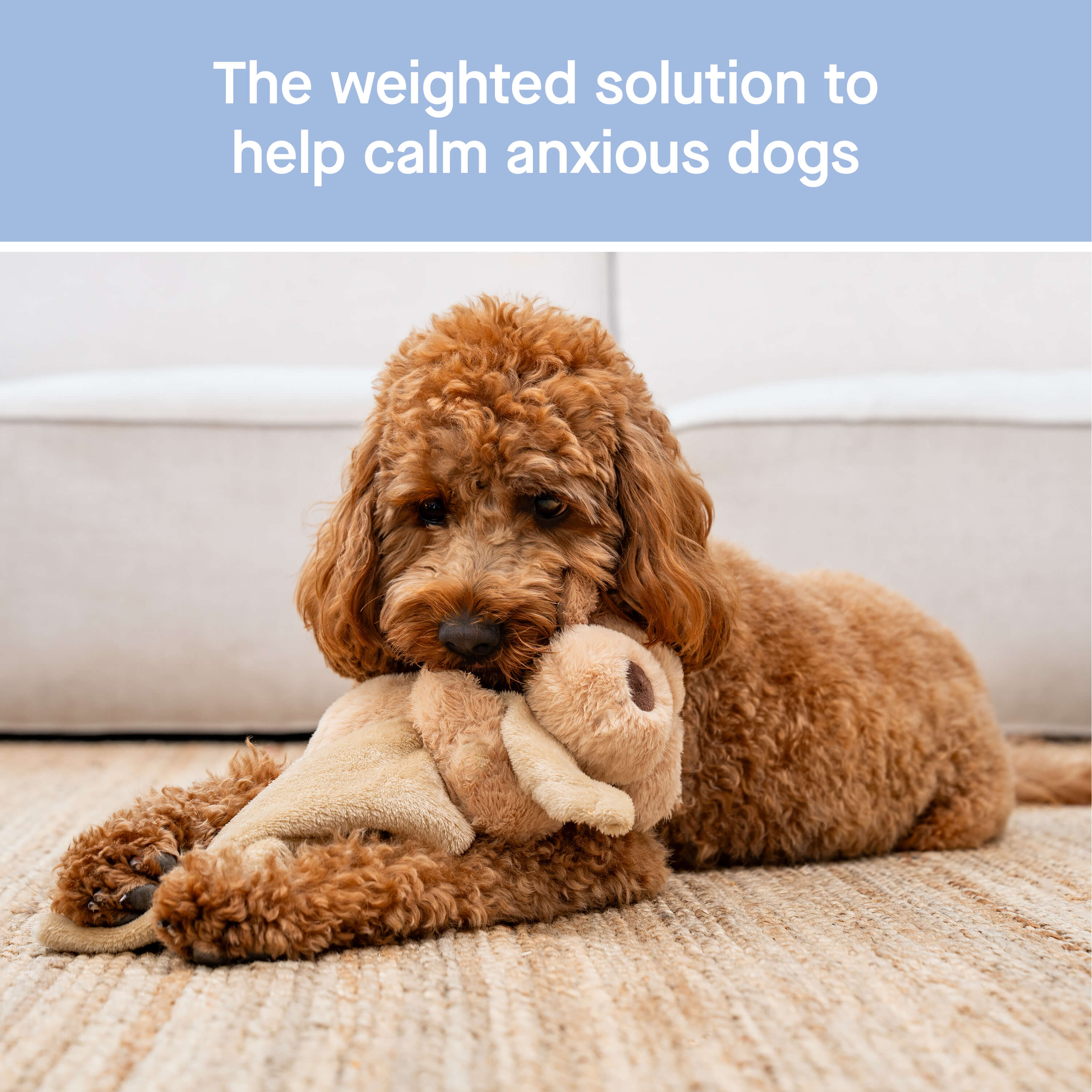 Weighted Calming Toy by Canada Pooch | Canadapoud 7973