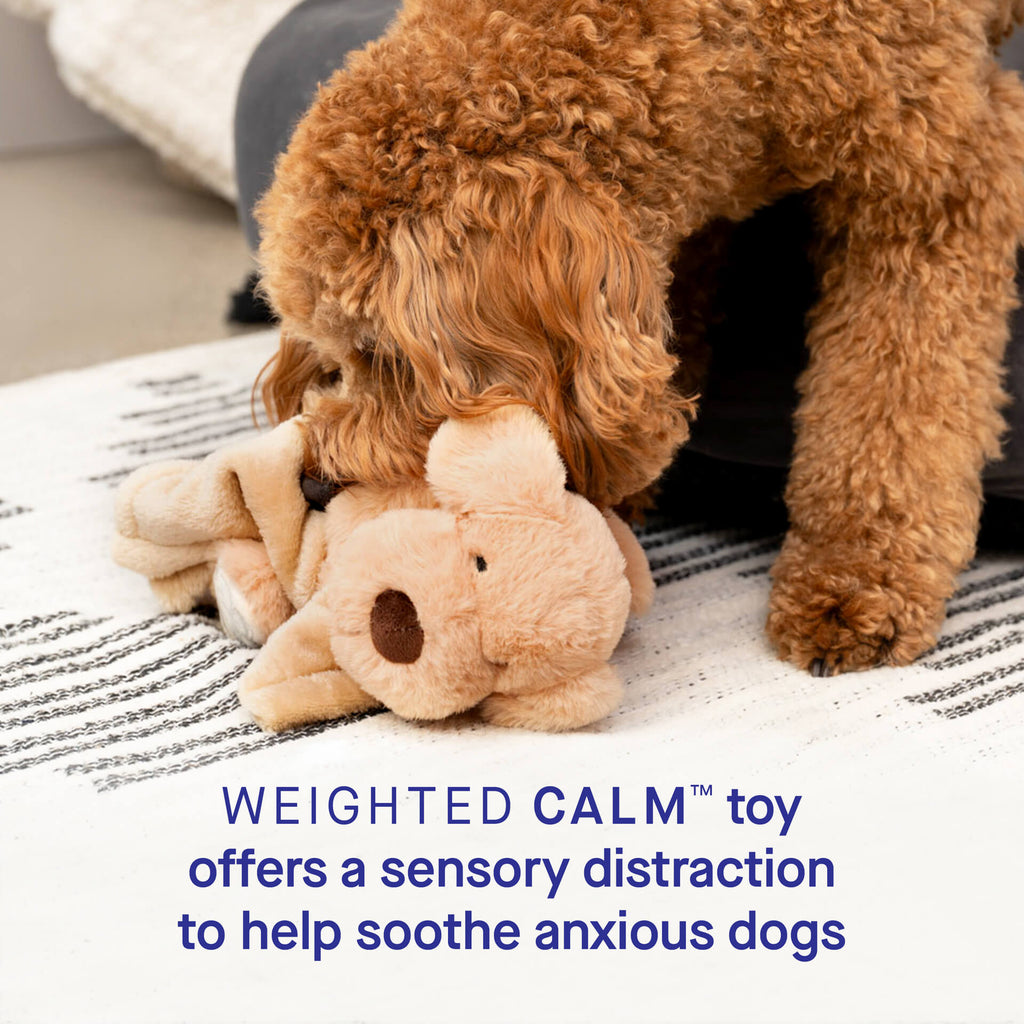 Weighted Calming Toy by Canada Pooch | Canadapoud 7973