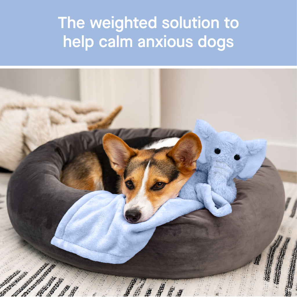 Weighted Calming Toy by Canada Pooch | Canadapoud 7973
