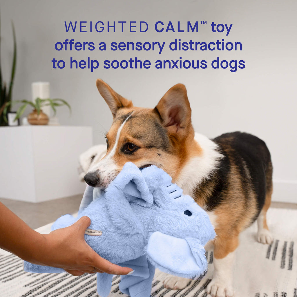 Weighted Calming Toy by Canada Pooch | Canadapoud 7973