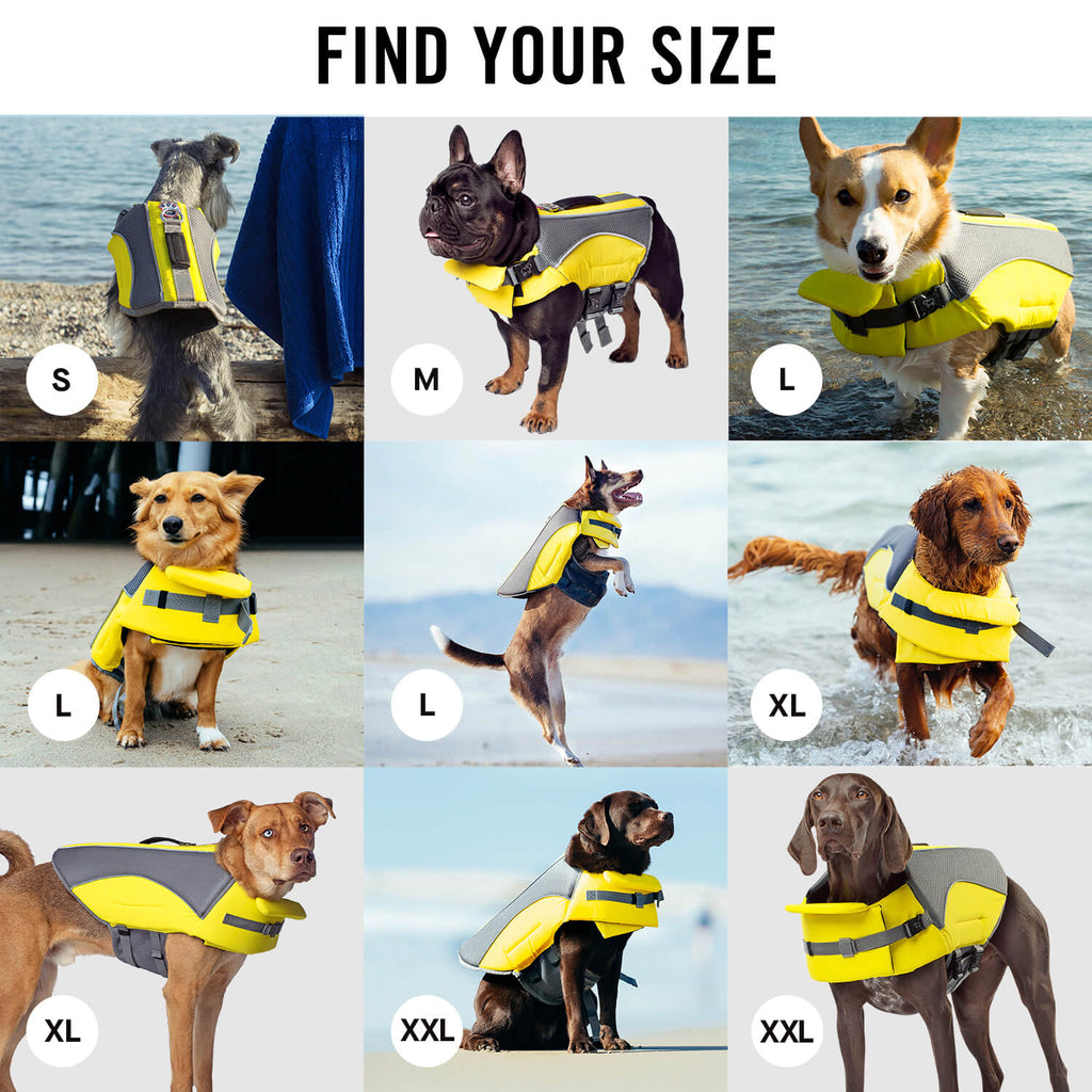 Wave Rider Life Jacket by Canada Pooch | Canadapoud 857A