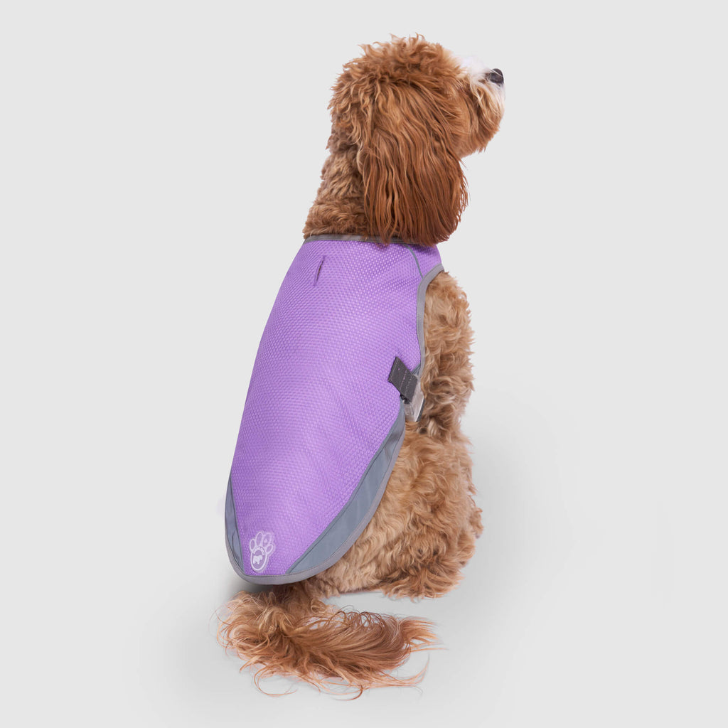 Chill Seeker Cooling Vest Wet Reveal by Canada Pooch | Canadapoud 37C2