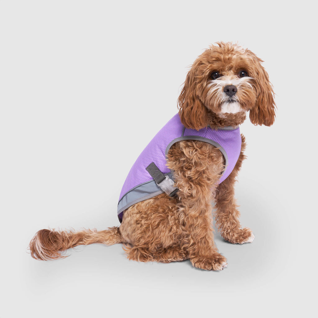 Chill Seeker Cooling Vest Wet Reveal by Canada Pooch | Canadapoud 37C2