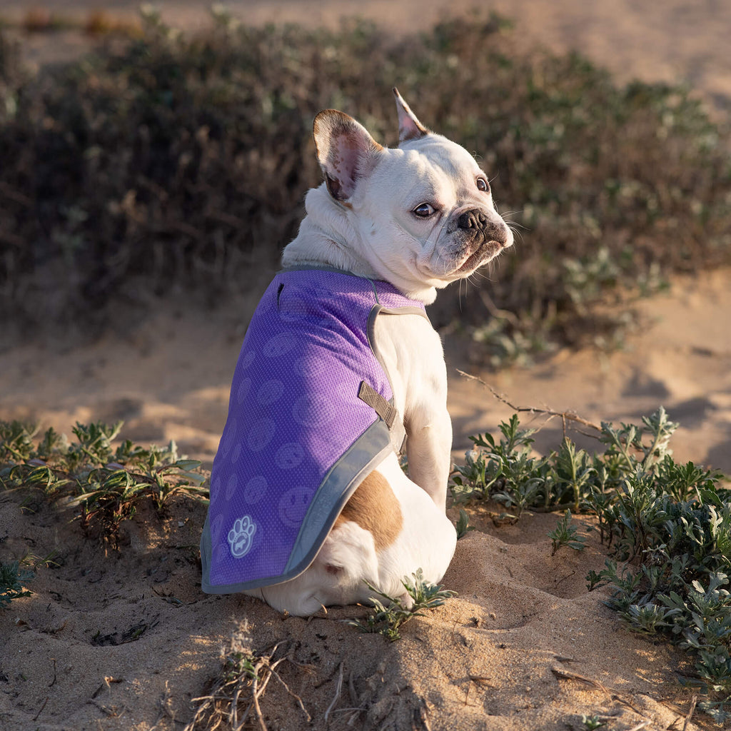 Chill Seeker Cooling Vest Wet Reveal by Canada Pooch | Canadapoud 37C2
