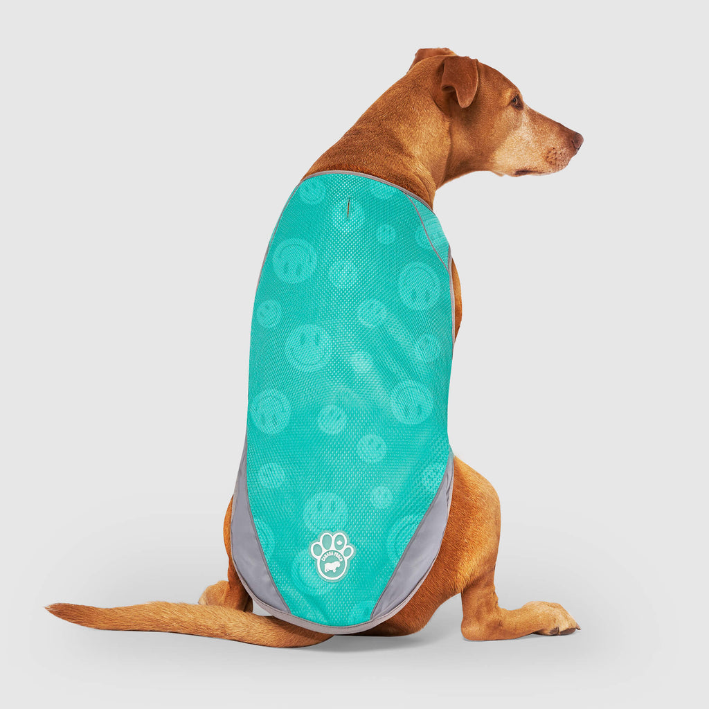 Chill Seeker Cooling Vest Wet Reveal by Canada Pooch | Canadapoud 37C2