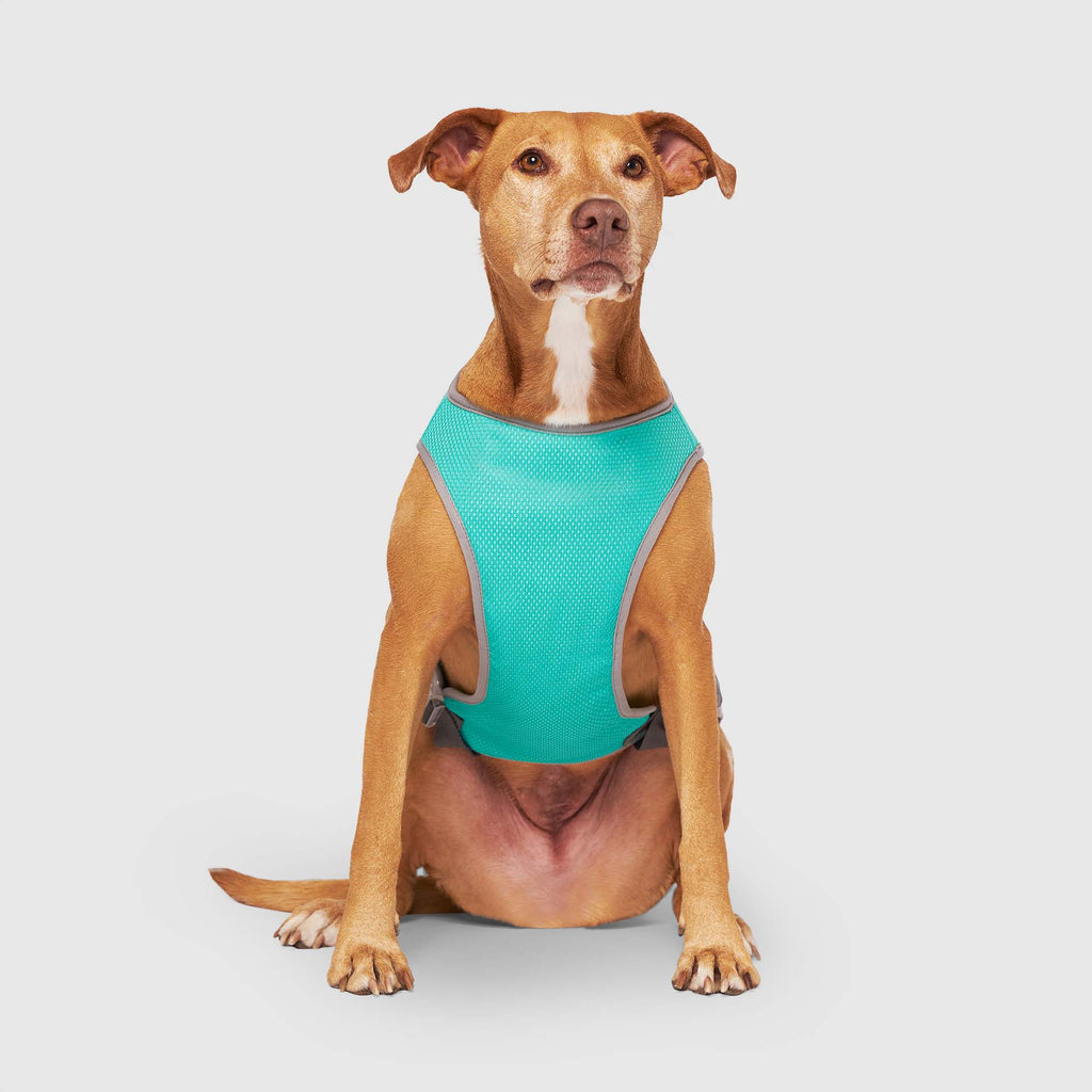 Chill Seeker Cooling Vest Wet Reveal by Canada Pooch | Canadapoud 37C2