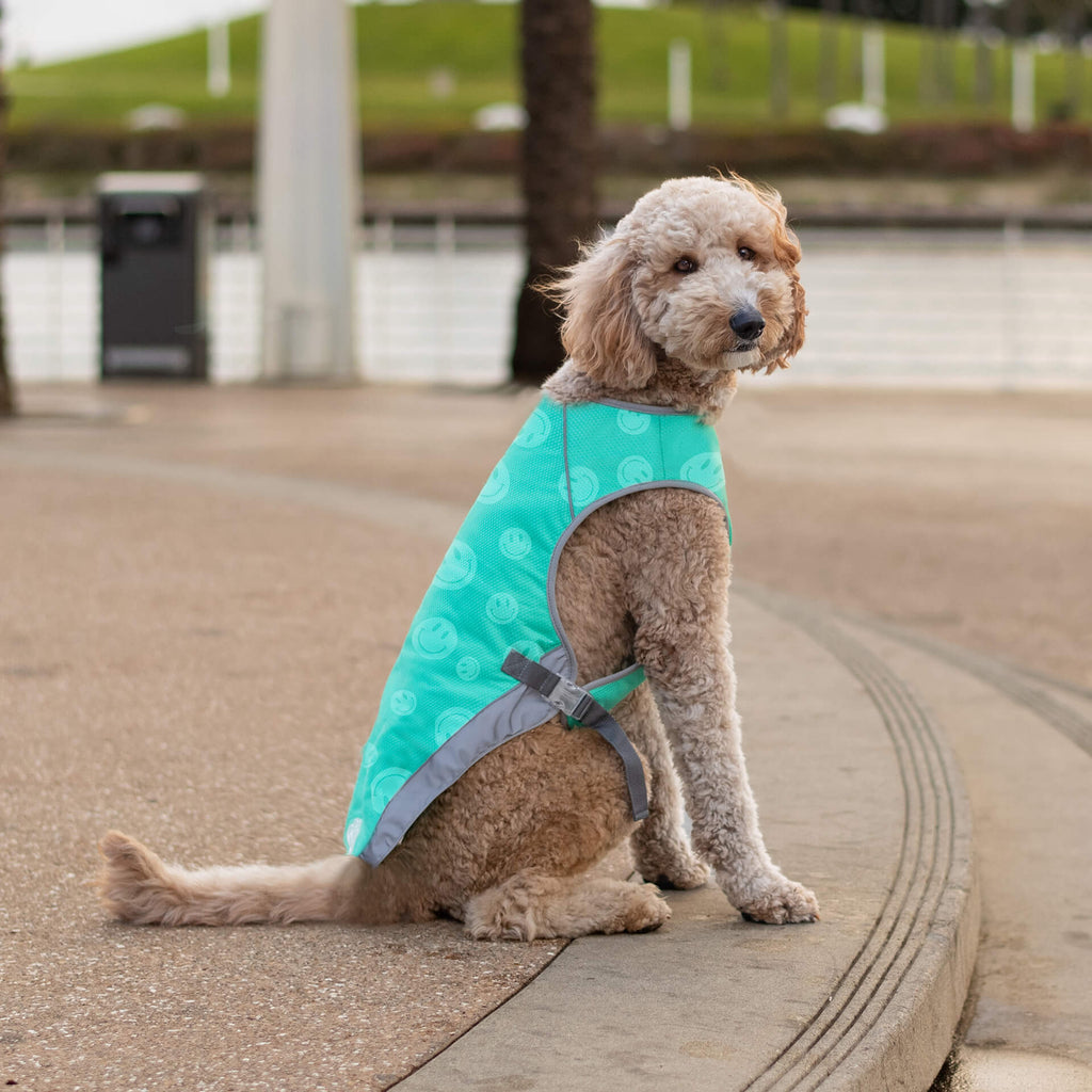 Chill Seeker Cooling Vest Wet Reveal by Canada Pooch | Canadapoud 37C2