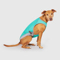 Chill Seeker Cooling Vest Wet Reveal by Canada Pooch | Canadapoud 37C2