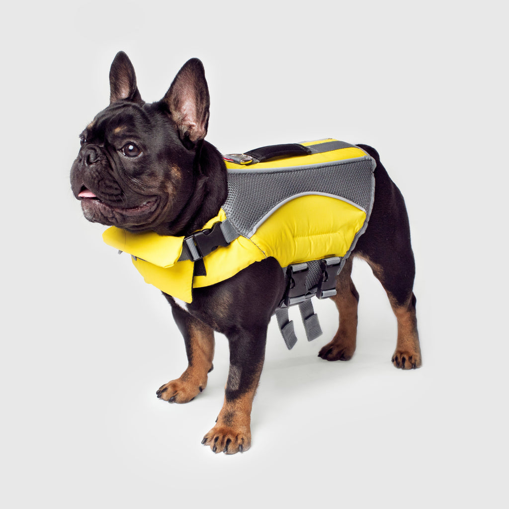 Wave Rider Life Jacket by Canada Pooch | Canadapoud 857A
