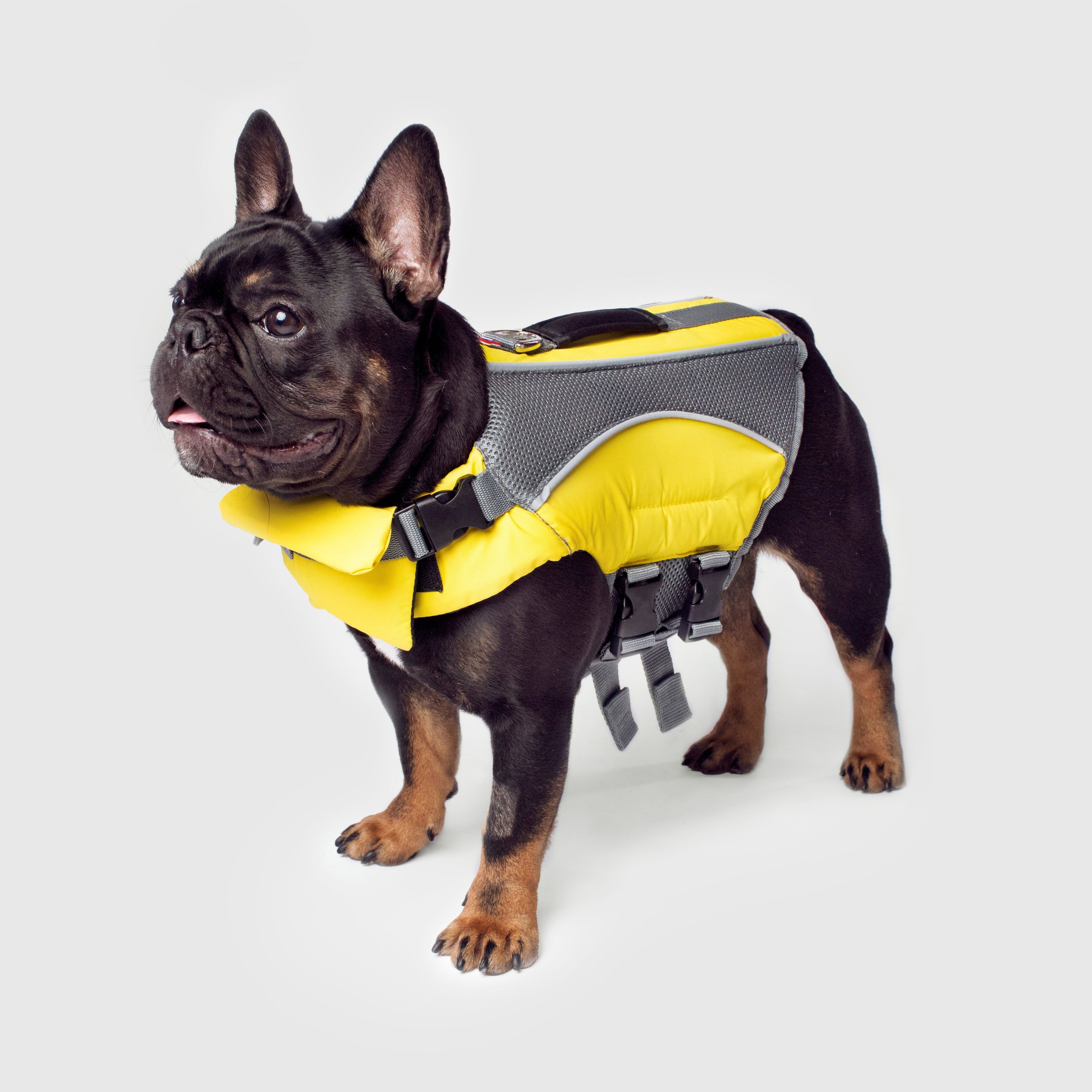 Wave Rider Life Jacket by Canada Pooch | Canadapoud 30A6