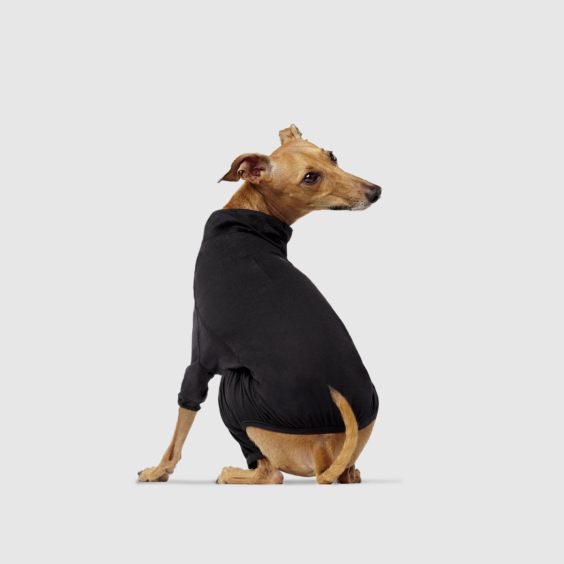 Thermal Layer Onesie by Canada Pooch | Canadapoud 2CB8