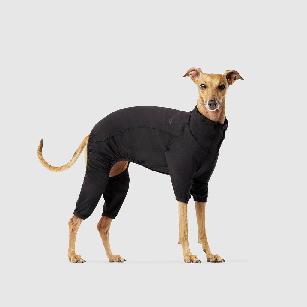 Thermal Layer Onesie by Canada Pooch | Canadapoud 2CB8
