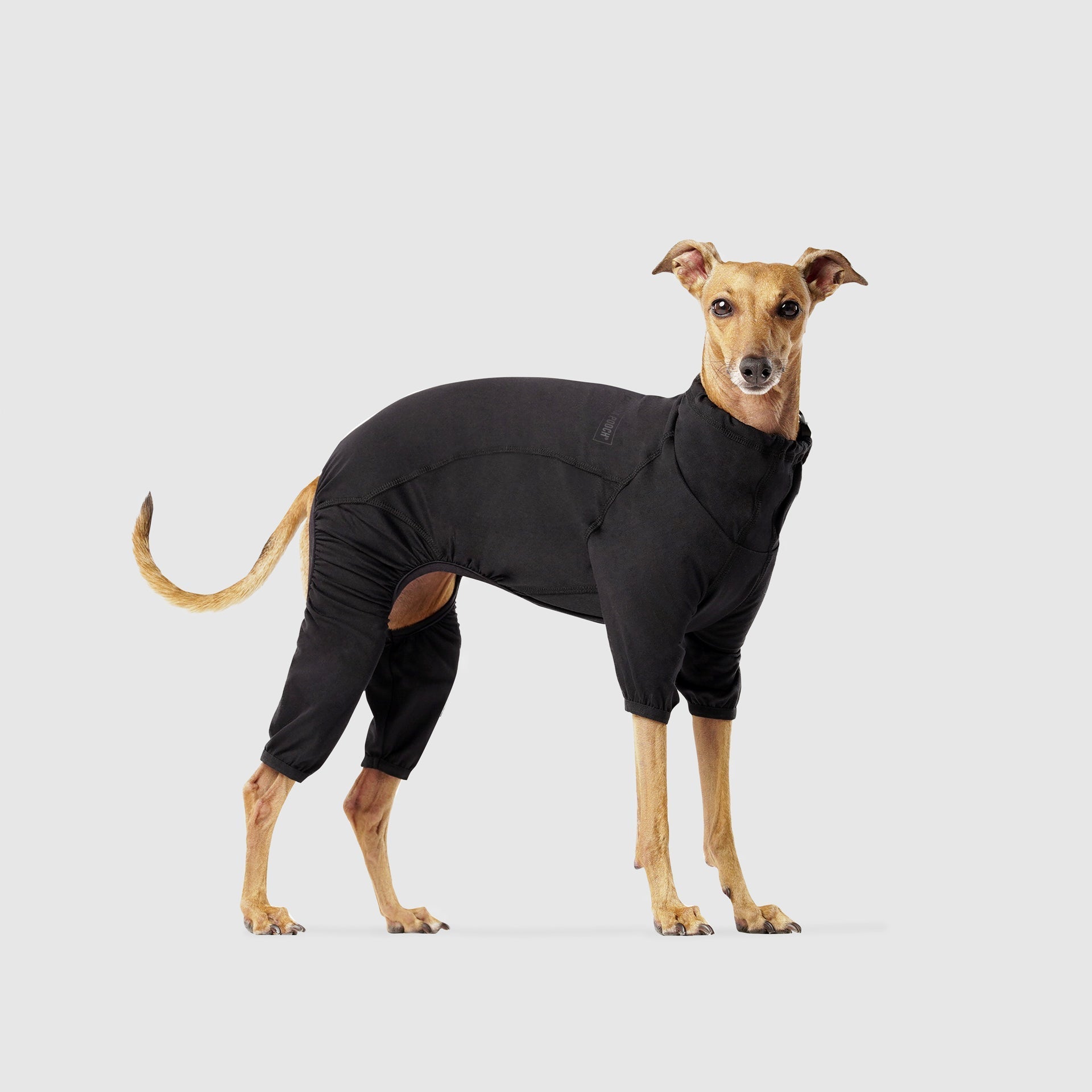 Thermal Layer Onesie by Canada Pooch | Canadapoud 2CB8