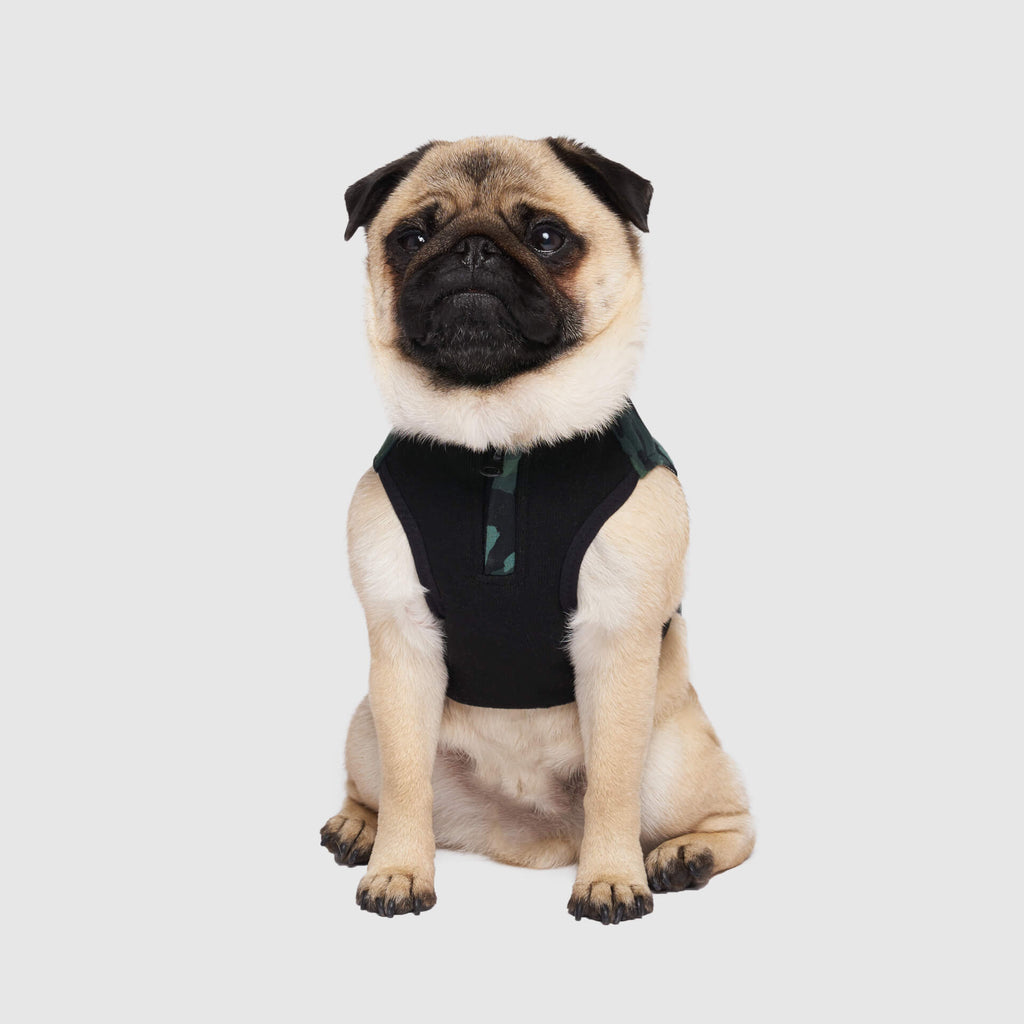 Thermal Tech Fleece by Canada Pooch | Canadapoud 3101