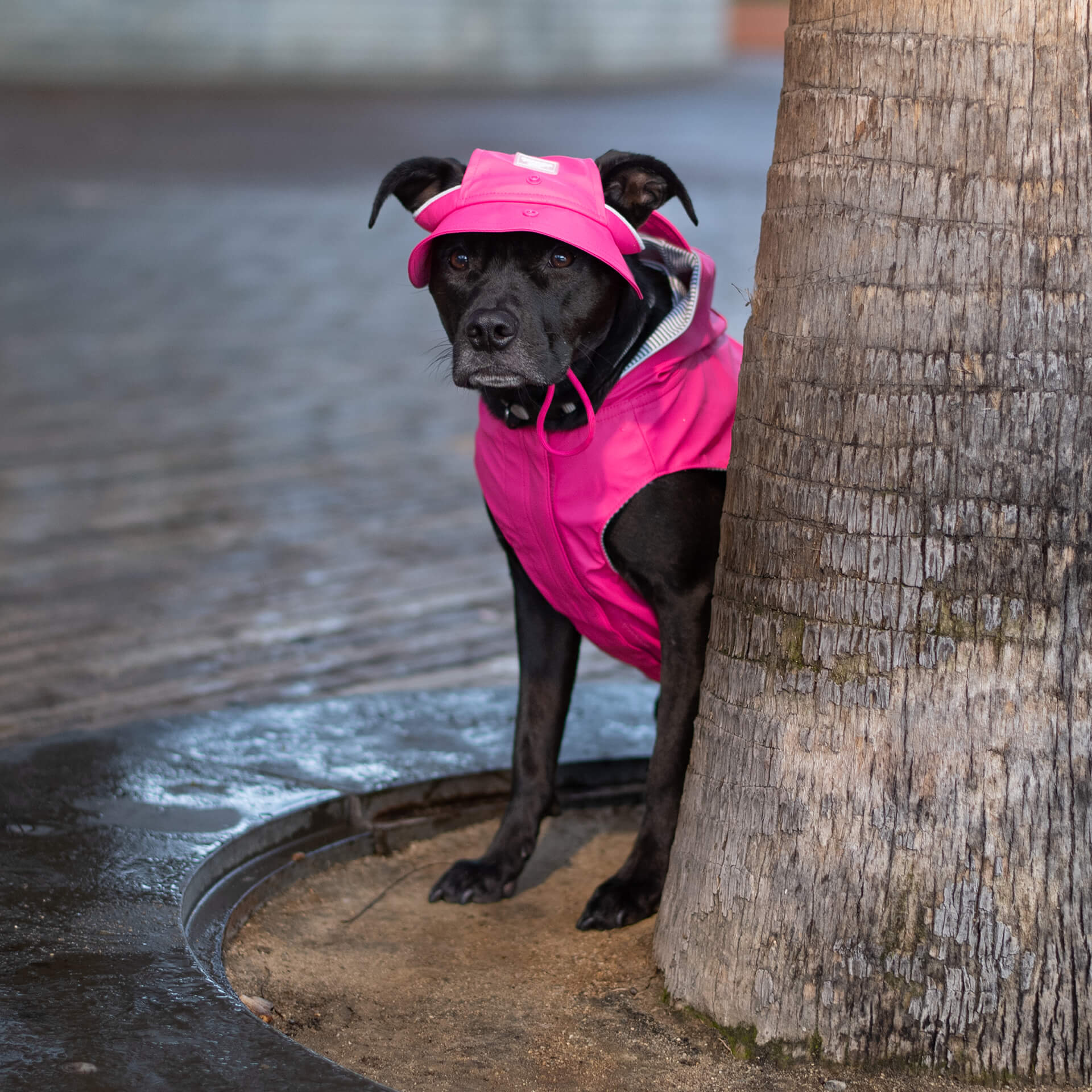 Torrential Tracker Rain Hat by Canada Pooch | Canadapoud 01E0