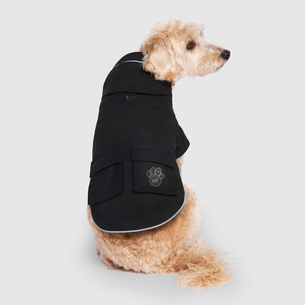 Torrential Tracker by Canada Pooch | Canadapoud 2393