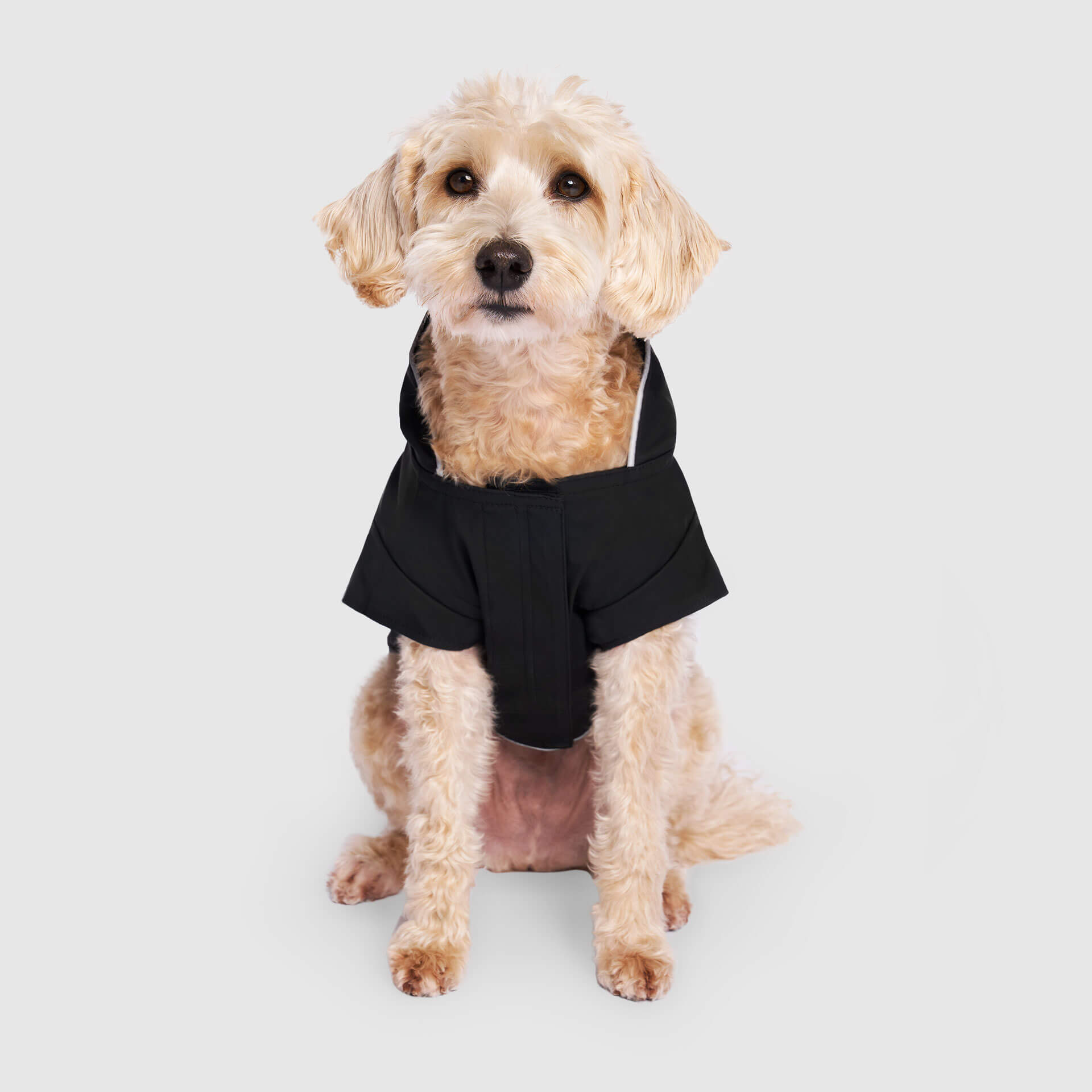 Torrential Tracker by Canada Pooch | Canadapoud 2393