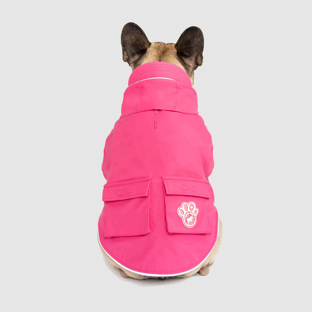 Torrential Tracker by Canada Pooch | Canadapoud 2393