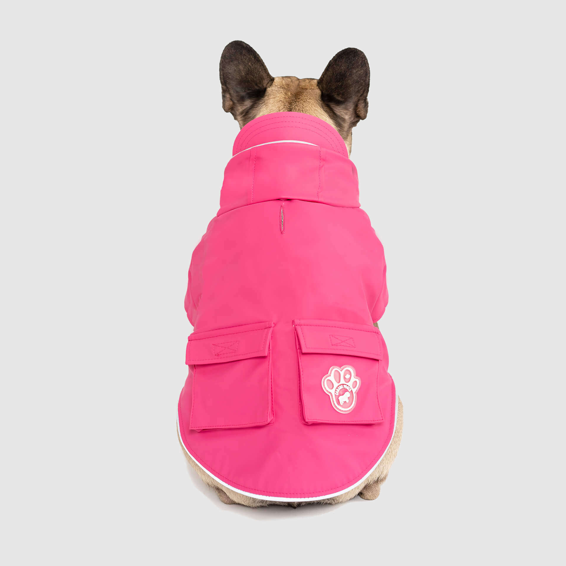 Torrential Tracker by Canada Pooch | Canadapoud 2393