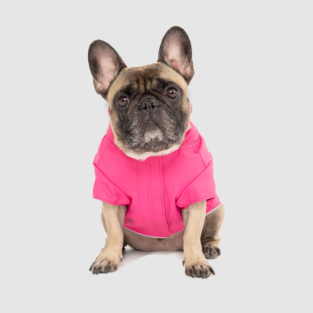 Torrential Tracker by Canada Pooch | Canadapoud 2393