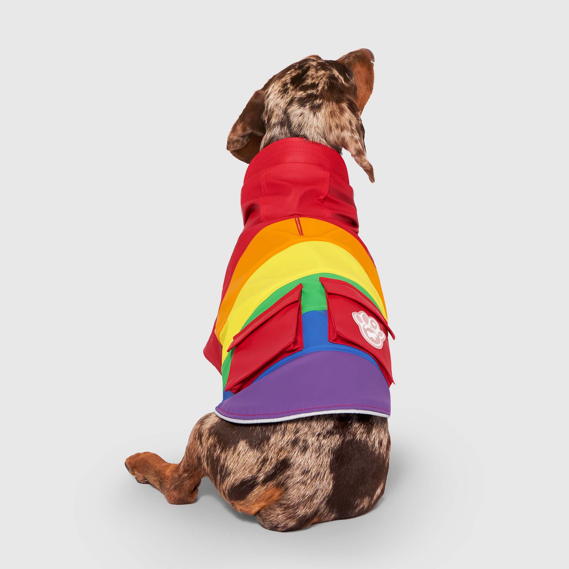 Torrential Tracker by Canada Pooch | Canadapoud 2393