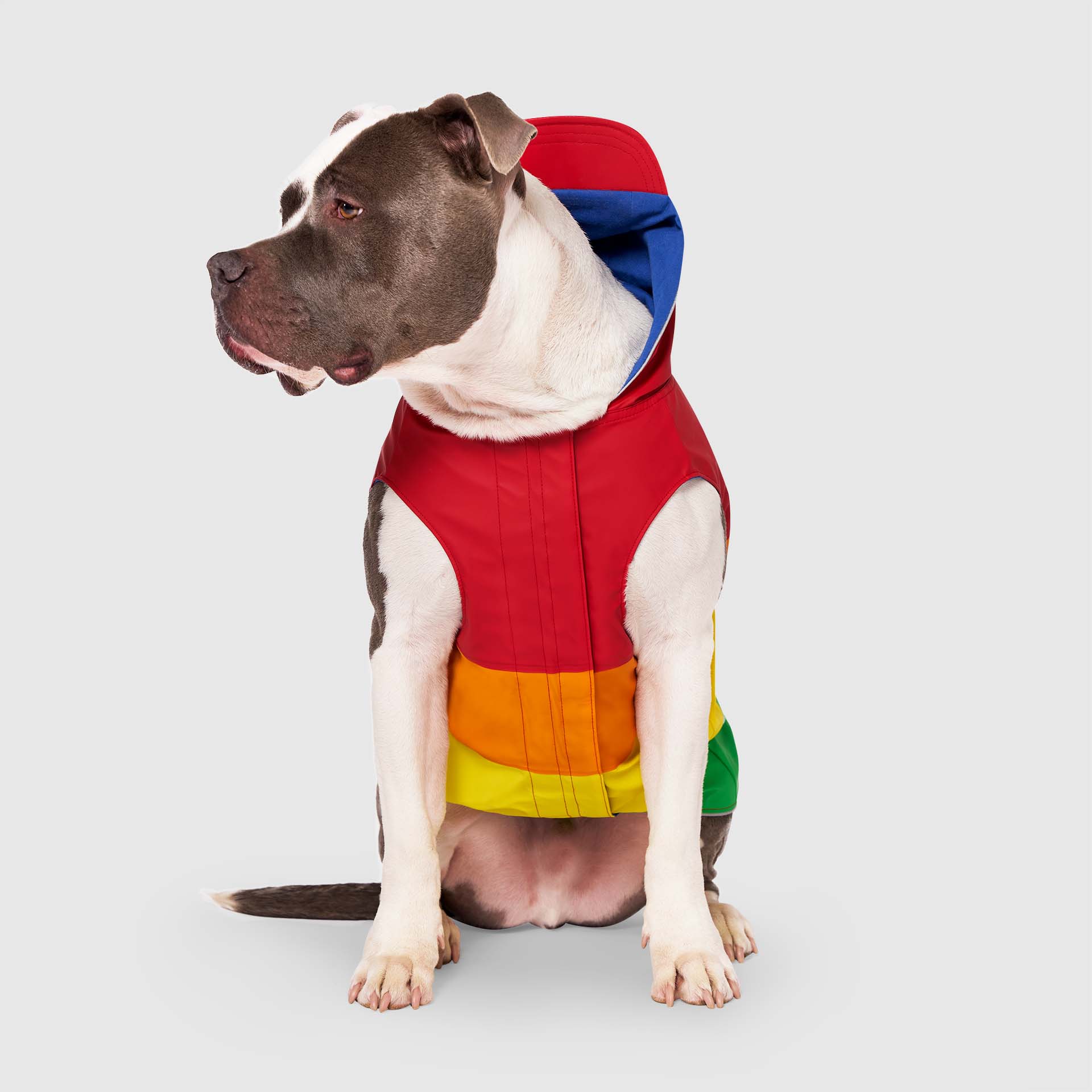 Torrential Tracker by Canada Pooch | Canadapoud 2393
