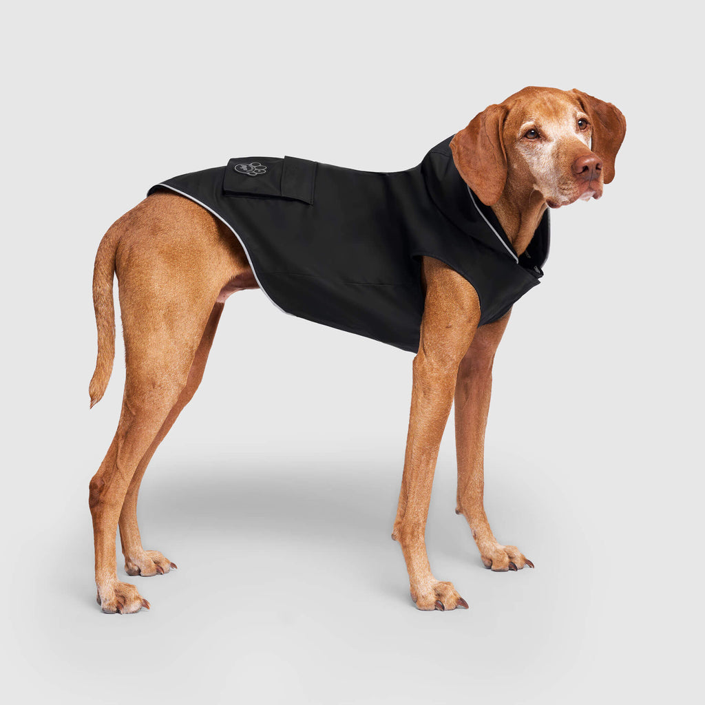 Torrential Tracker by Canada Pooch | Canadapoud 2393
