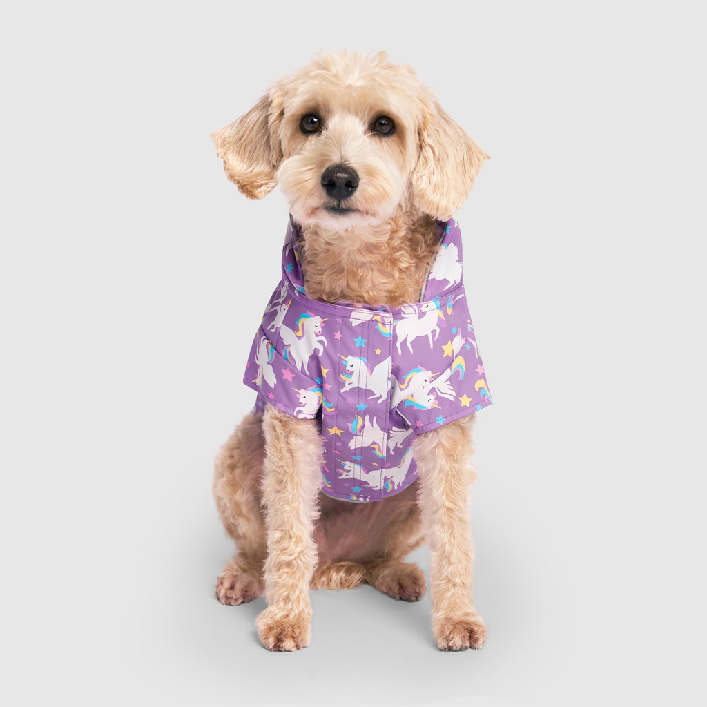 Wet Reveal Torrential Tracker by Canada Pooch | Canadapoud 261D