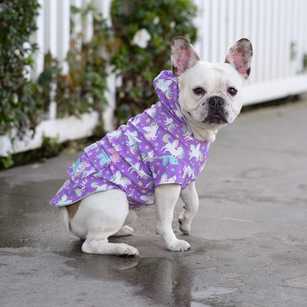 Wet Reveal Torrential Tracker by Canada Pooch | Canadapoud 261D