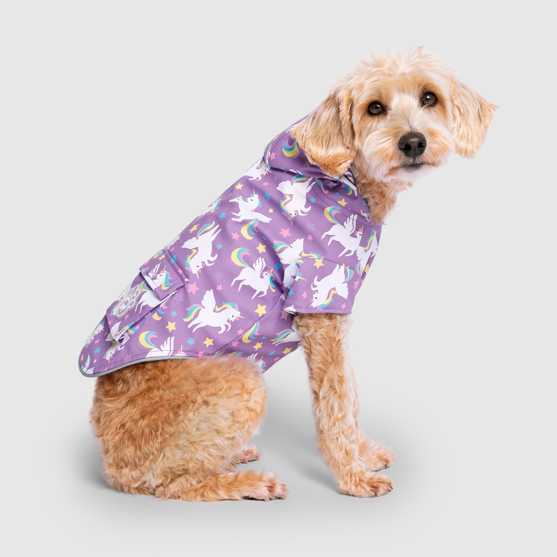 Wet Reveal Torrential Tracker by Canada Pooch | Canadapoud 261D