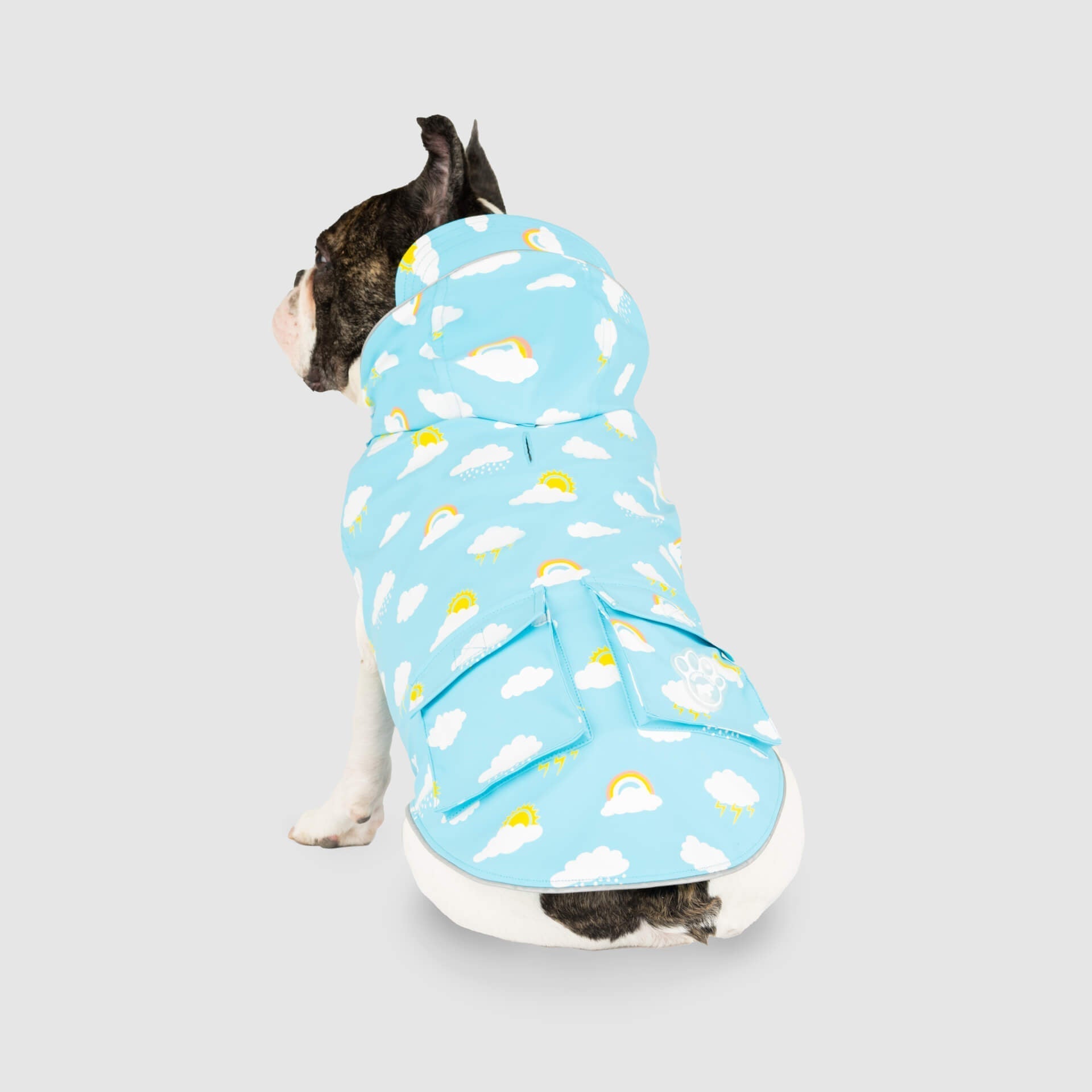 Wet Reveal Torrential Tracker by Canada Pooch | Canadapoud 261D