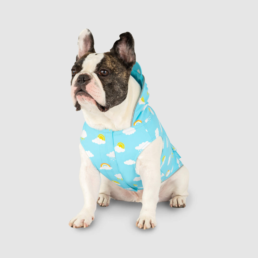 Wet Reveal Torrential Tracker by Canada Pooch | Canadapoud 261D
