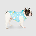 Wet Reveal Torrential Tracker by Canada Pooch | Canadapoud 261D
