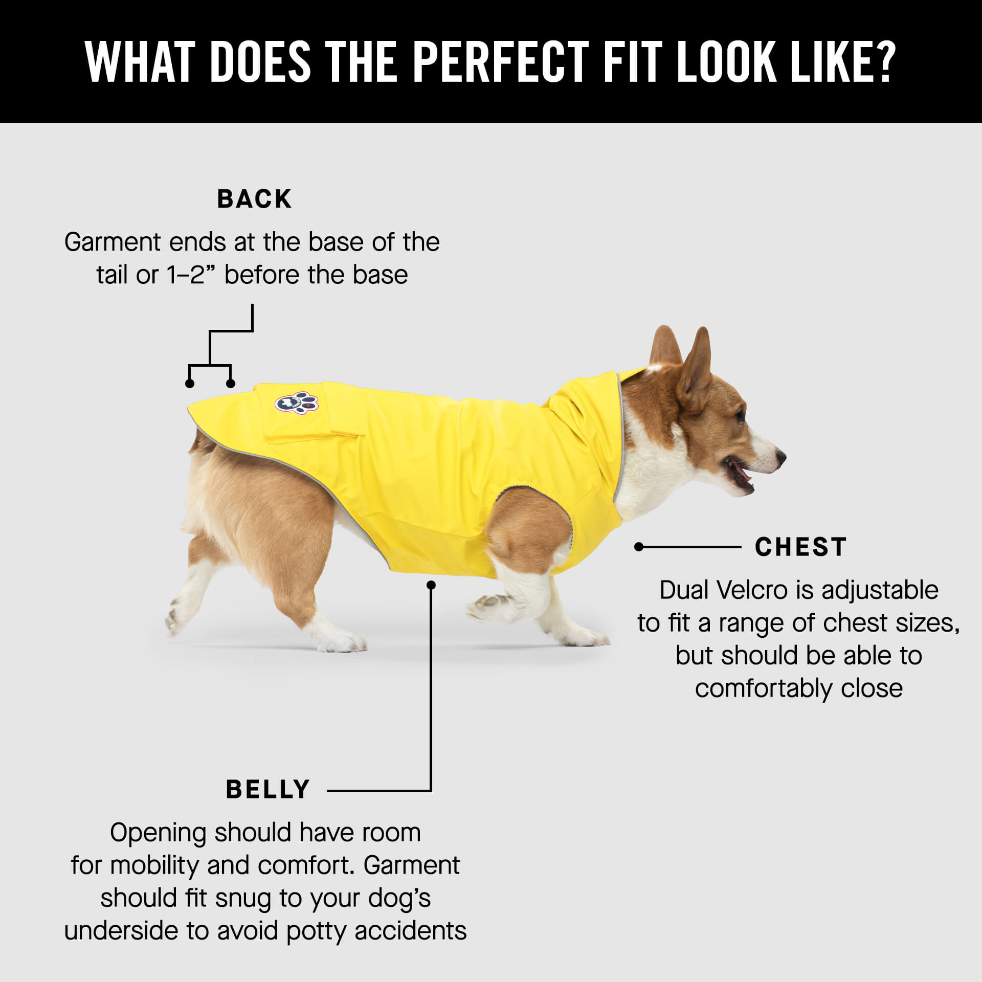 Torrential Tracker by Canada Pooch | Canadapoud 2393