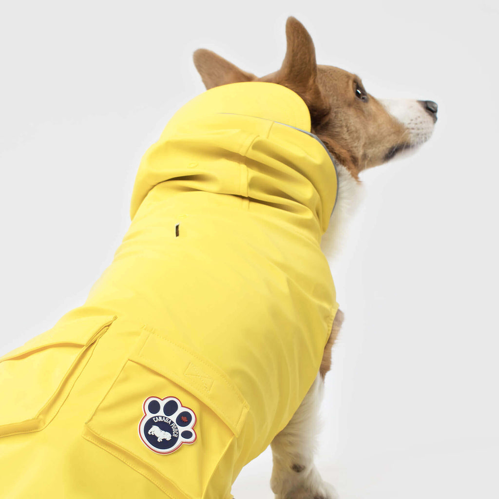 Torrential Tracker by Canada Pooch | Canadapoud 2393
