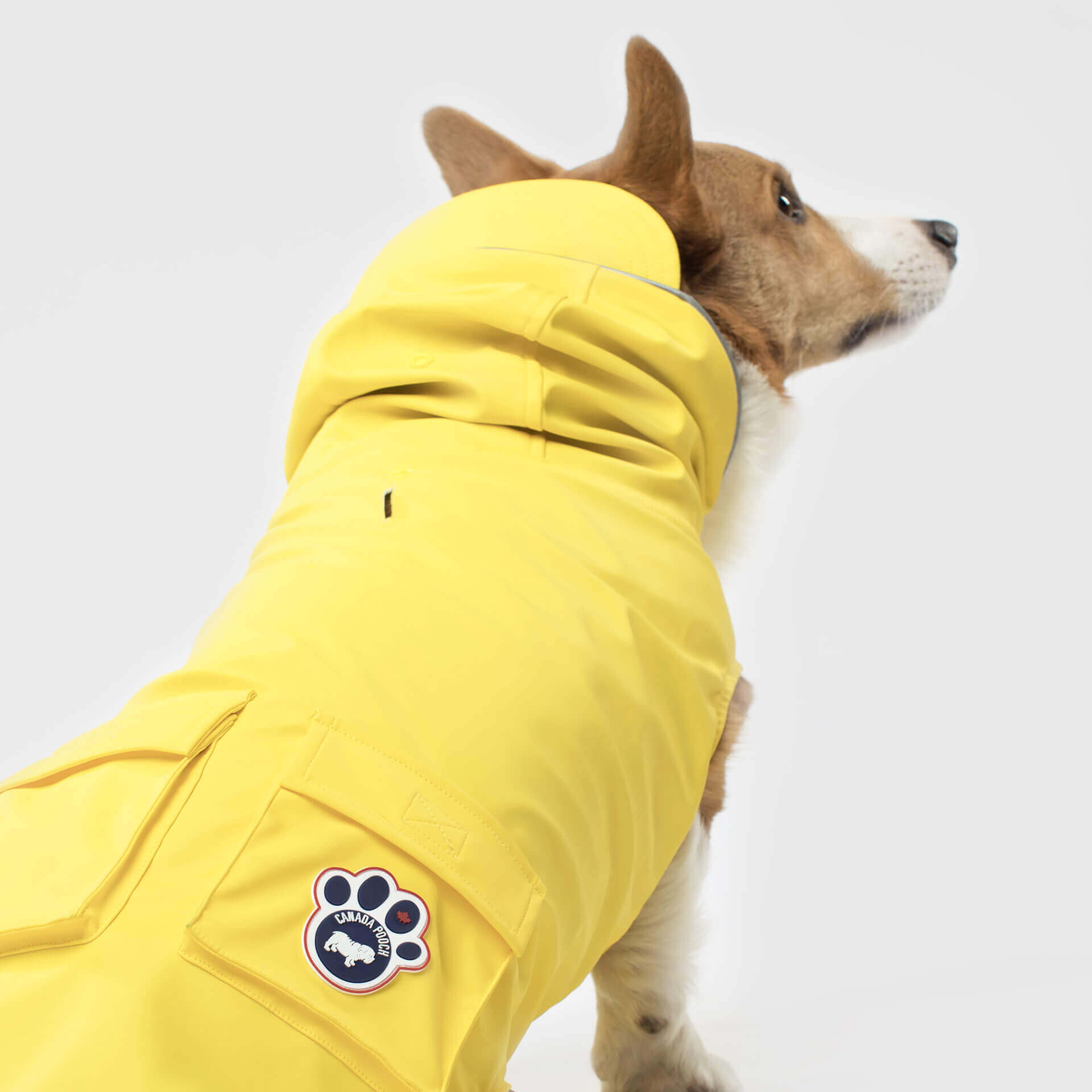Torrential Tracker by Canada Pooch | Canadapoud 2393