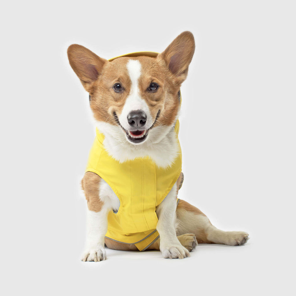 Torrential Tracker by Canada Pooch | Canadapoud 2393